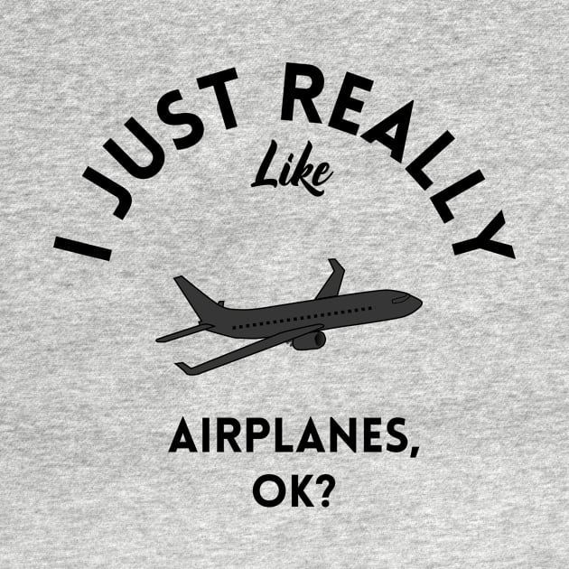 I Just Really Like Airplanes Ok by GoodWills